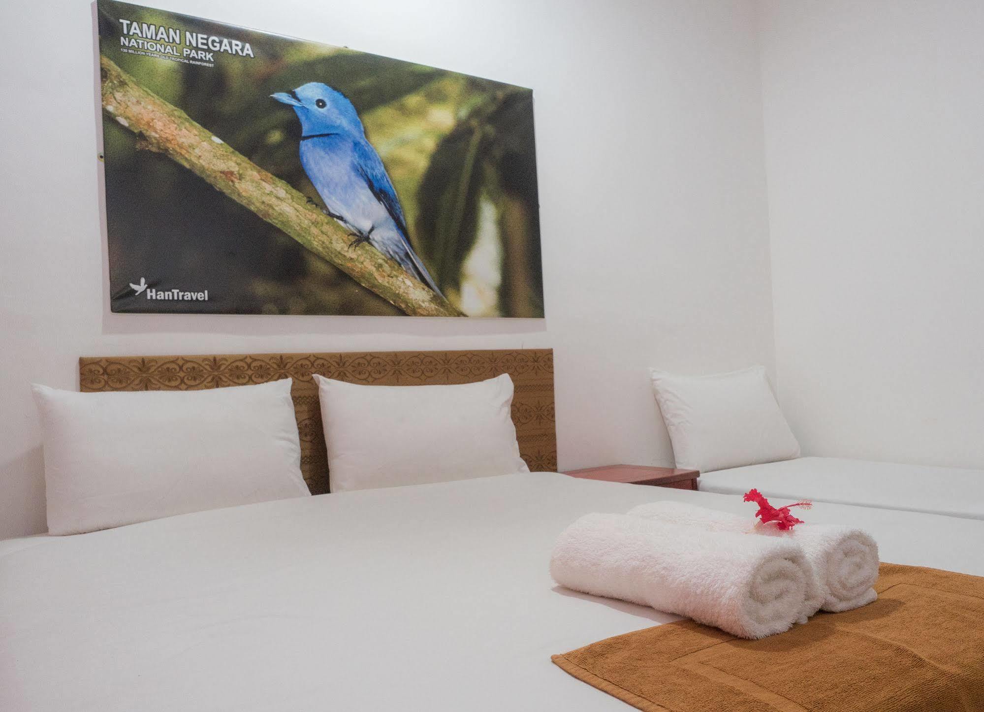Han Rainforest Resort Kuala Tahan Kültér fotó